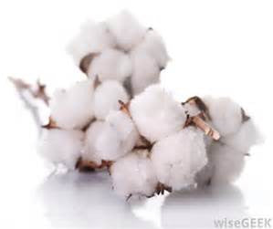 Cotton Fabrics Benefits